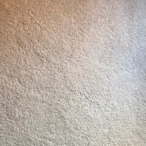 Meet your Posher, Dee